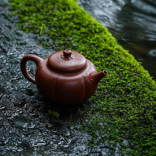 宜兴龙德堂陶艺 汤宣武《玉壶冰心》原矿大红袍 170 cc 商品图1