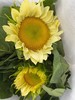 奶油向日葵 5枝/扎   商品缩略图11