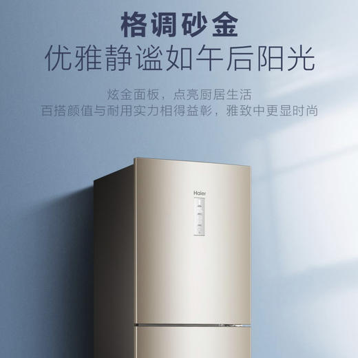 海尔（Haier）冰箱BCD-223WDPT 商品图7