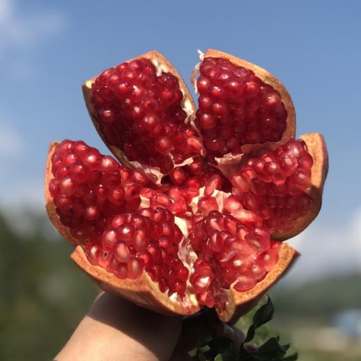 会理突尼斯软籽石榴   5-8斤装 商品图7