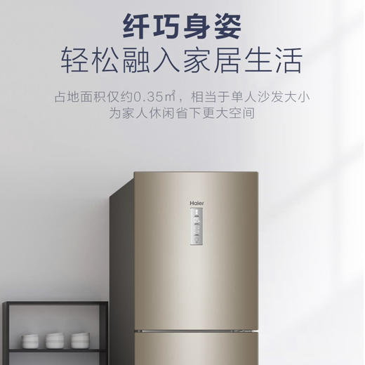 海尔（Haier）冰箱BCD-223WDPT 商品图8