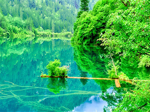 五一7日【甘南九寨】梦中的香巴拉の兰州-拉卜楞寺-扎尕那-郎木寺-九寨沟-黄龙-西安【陆地头等舱豪华大巴】 商品图1