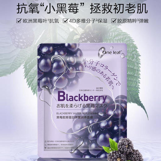【爆款超低价预售 急单慎拍】一叶子黑莓胶原蛋白面膜滋润弹嫩补水保湿亮肤紧致抗皱控油祛痘女 商品图0