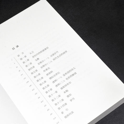 浪漫派的反叛：古典与浪漫艺术之争 商品图8