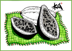 6-8岁创意线描写生《百益之果“木瓜”》水果【自动发货：下单后，点击手机短信中收到的链接，即可获取文件下载的链接；如有任何问题，可添加客服微信hm33268获得帮助】