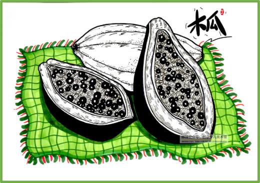 6-8岁创意线描写生《百益之果“木瓜”》水果【自动发货：下单后，点击手机短信中收到的链接，即可获取文件下载的链接；如有任何问题，可添加客服微信hm33268获得帮助】 商品图0