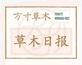 草木日报167-期（坚果、海鲜、油、蔬菜）