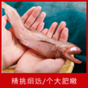 【海鲜】冰鲜东海水鱼 1斤 商品缩略图2