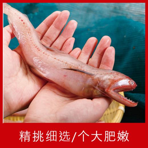 【海鲜】冰鲜东海水鱼 1斤 商品图2