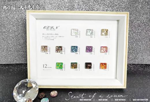 韩式大亮片胶12色套装 商品图0