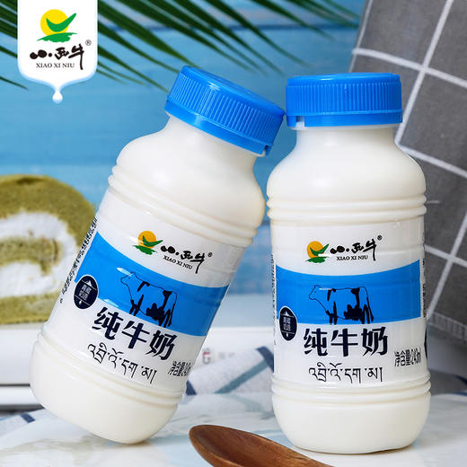 小西牛青海纯牛奶高原特色瓶装牛奶243ml12瓶