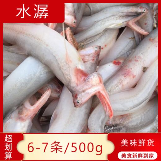 【海鲜】冰鲜东海水鱼 1斤 商品图1