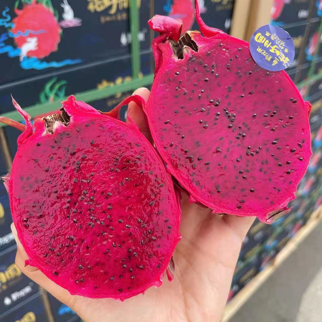 黔龙果「超高糖度有机红心火龙果」【净重4斤】