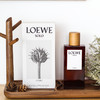 罗1威  唯一雪松  L0ewe Solo L0ewe Cedro   EDT 分装 商品缩略图1