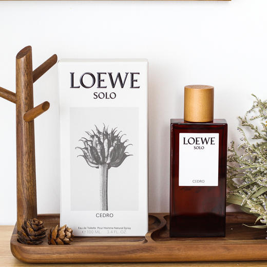 罗1威  唯一雪松  L0ewe Solo L0ewe Cedro   EDT 分装 商品图1