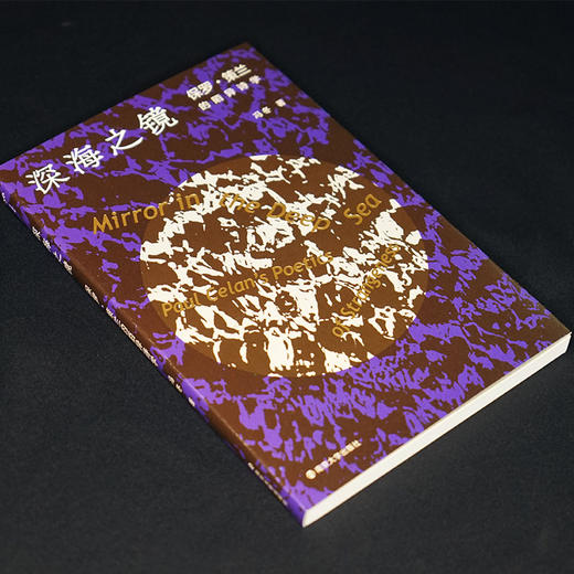 深海之镜：保罗•策兰的陌异诗学 商品图1