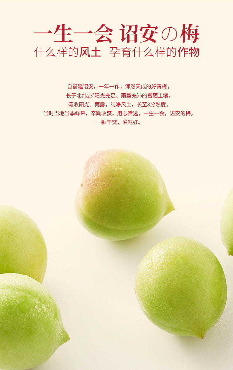 日本制梅匠人全程监制梅花乡浓缩青梅精103斤青梅融汇出1斤以食养身的