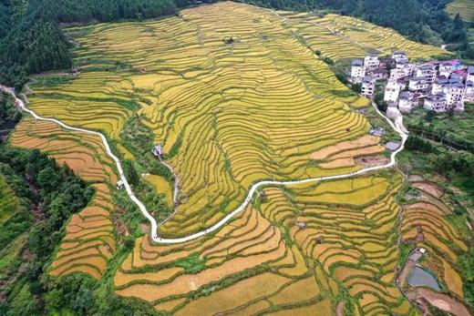 户外@【醉美赏秋之旅】“欧家梯田+黑山梯田”+千亩银杏林，千户油岭瑶寨+万山朝王，入住梯田深处民宿2天 商品图1