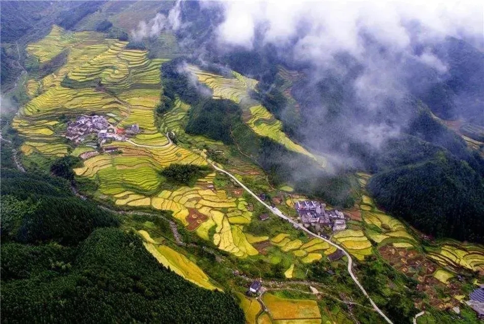 户外@【醉美赏秋之旅】“欧家梯田+黑山梯田”+千亩银杏林，千户油岭瑶寨+万山朝王，入住梯田深处民宿2天