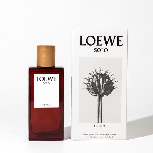 罗1威  唯一雪松  L0ewe Solo L0ewe Cedro   EDT 分装 商品图4