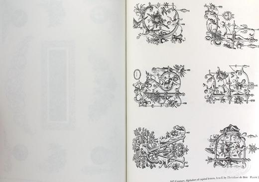【中商原版】Fantastic Ornament 进口艺术 奇妙的装饰品 第二系列 商品图5