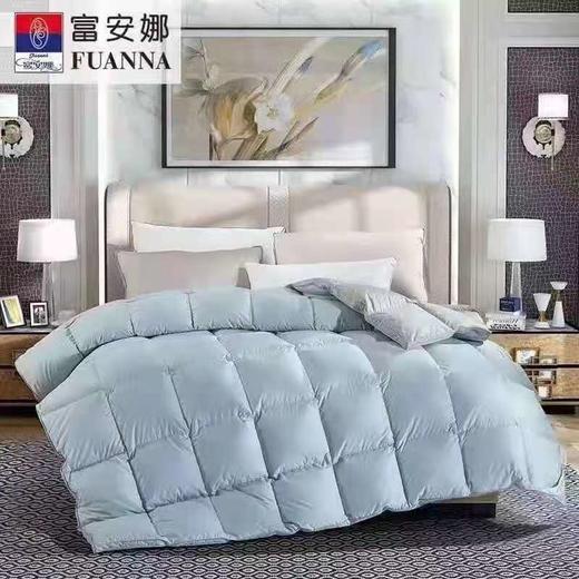 富安娜炫彩抗菌双面鹅绒冬厚被\莫拉蒂 商品图0