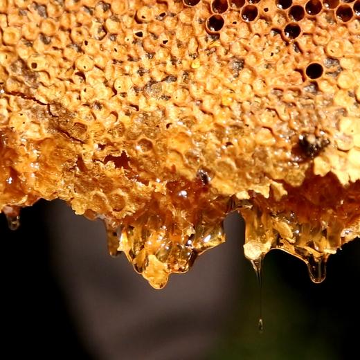 土蜂蜜：自然之味与健康生活的选择
