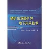 磷矿山深部矿体地下开采技术/李耀基 李小双 张东明 商品缩略图0