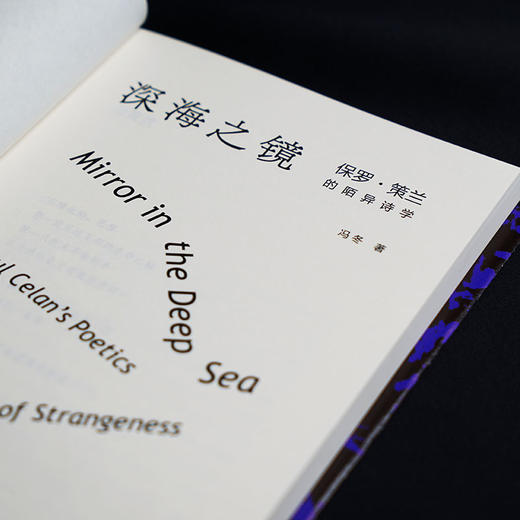 深海之镜：保罗•策兰的陌异诗学 商品图5