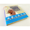 艾扬格瑜伽 精进习练指南 再版 BKS艾扬格 著 瑜伽之光 艾扬格调息之光 练习经典 从入门到精通 室内健身书籍 商品缩略图4