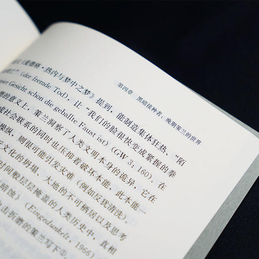 深海之镜：保罗•策兰的陌异诗学 商品图6