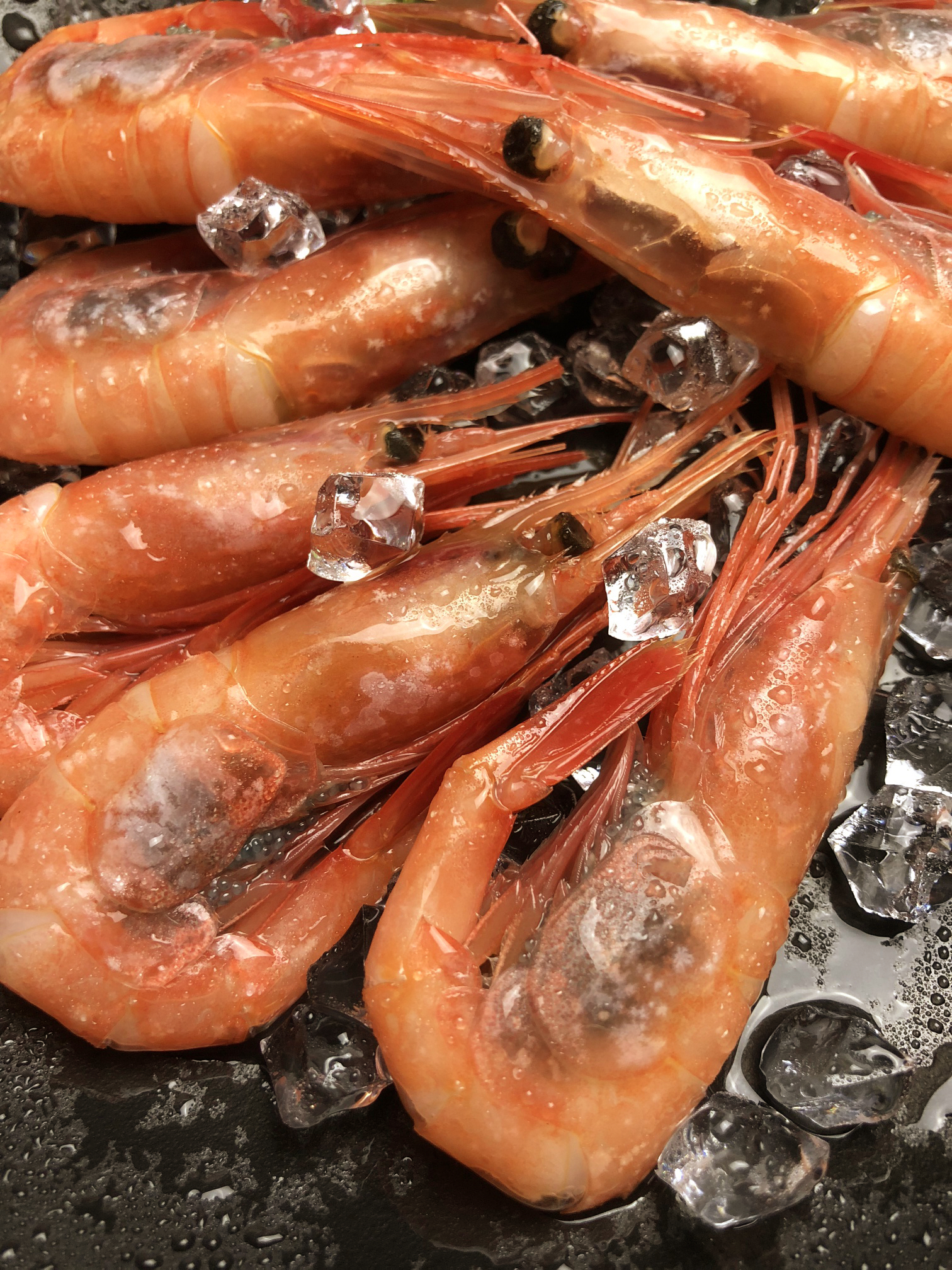 北极甜虾刺身生吃即食海鲜腹籽食材北极虾