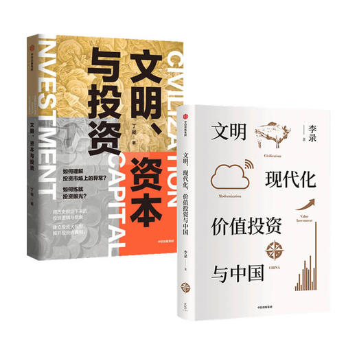 文明 资本与投资+文明 现代化 价值投资与中国 套装2册 丁昶 等著 金融 商品图0