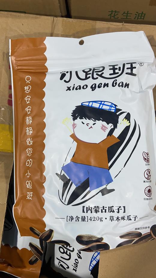 小跟班内蒙古瓜子420g 商品图0