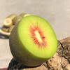 中国农业的芯片--杨氏猕猴桃， 水果之王， 只有新西兰金果可一比高下 商品缩略图2
