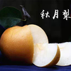 秋月梨 商品缩略图2