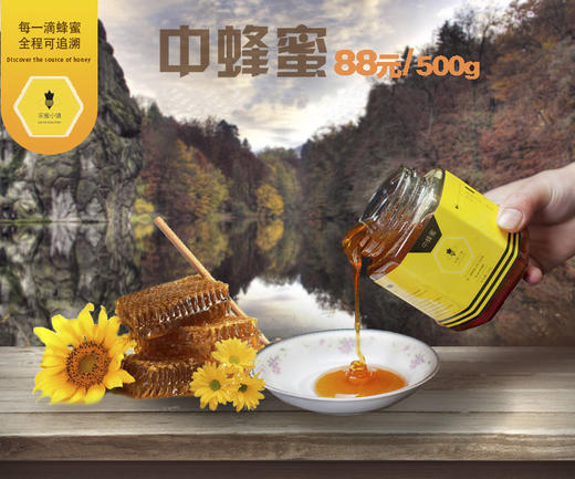 中华土蜂蜜（土蜂蜜） 500g/瓶 《10级-周承伟代言》采蜜小镇 商品图2