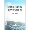 非煤地下矿山生产现场管理/赵炳云 商品缩略图0