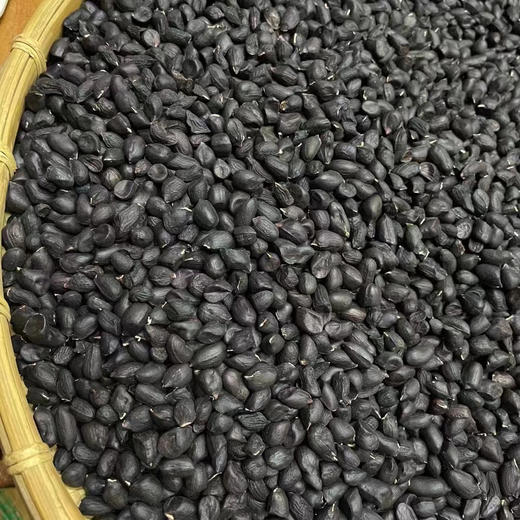 云南干黑花生、七彩花生、 颗粒饱满 香甜， 满88包邮 商品图5
