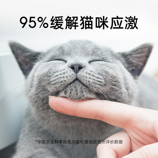 🎁[年货节]费乐舒猫面部信息素-插电加热款45ml,科学安抚猫咪情绪预防应激 商品图4