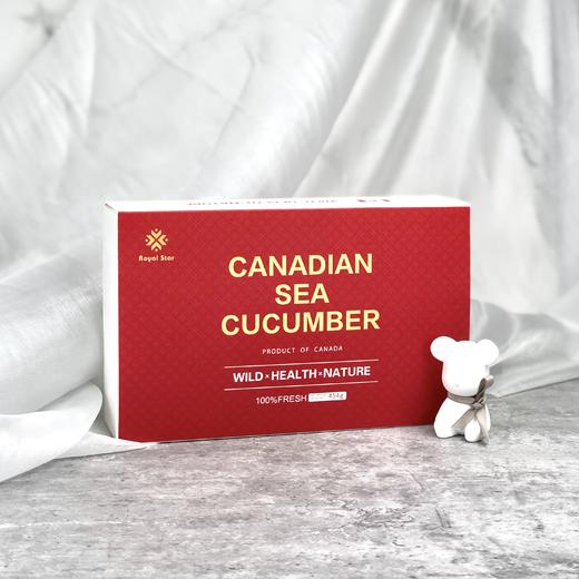 进口加拿大淡干海参开口参1磅/盒 # 宁波仓 商品图6