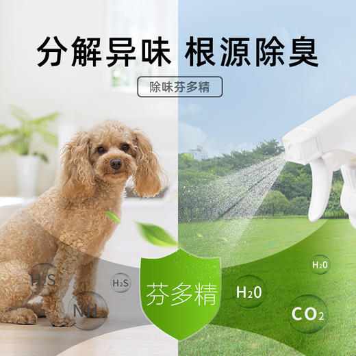 [购满4件最低4折]芬多精除臭喷剂 470ml/瓶，植物成分 抑菌除臭 商品图2