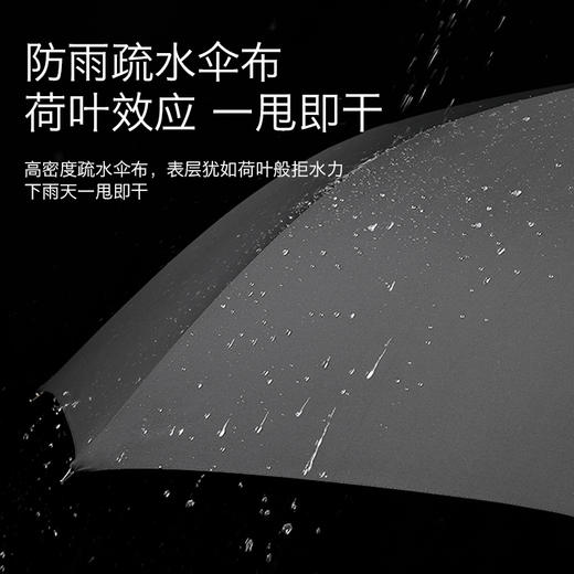 左都21款藤木手柄高档半自动扛暴风雨长柄伞 商品图3