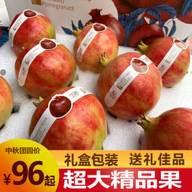 突尼斯软石榴超大精品果