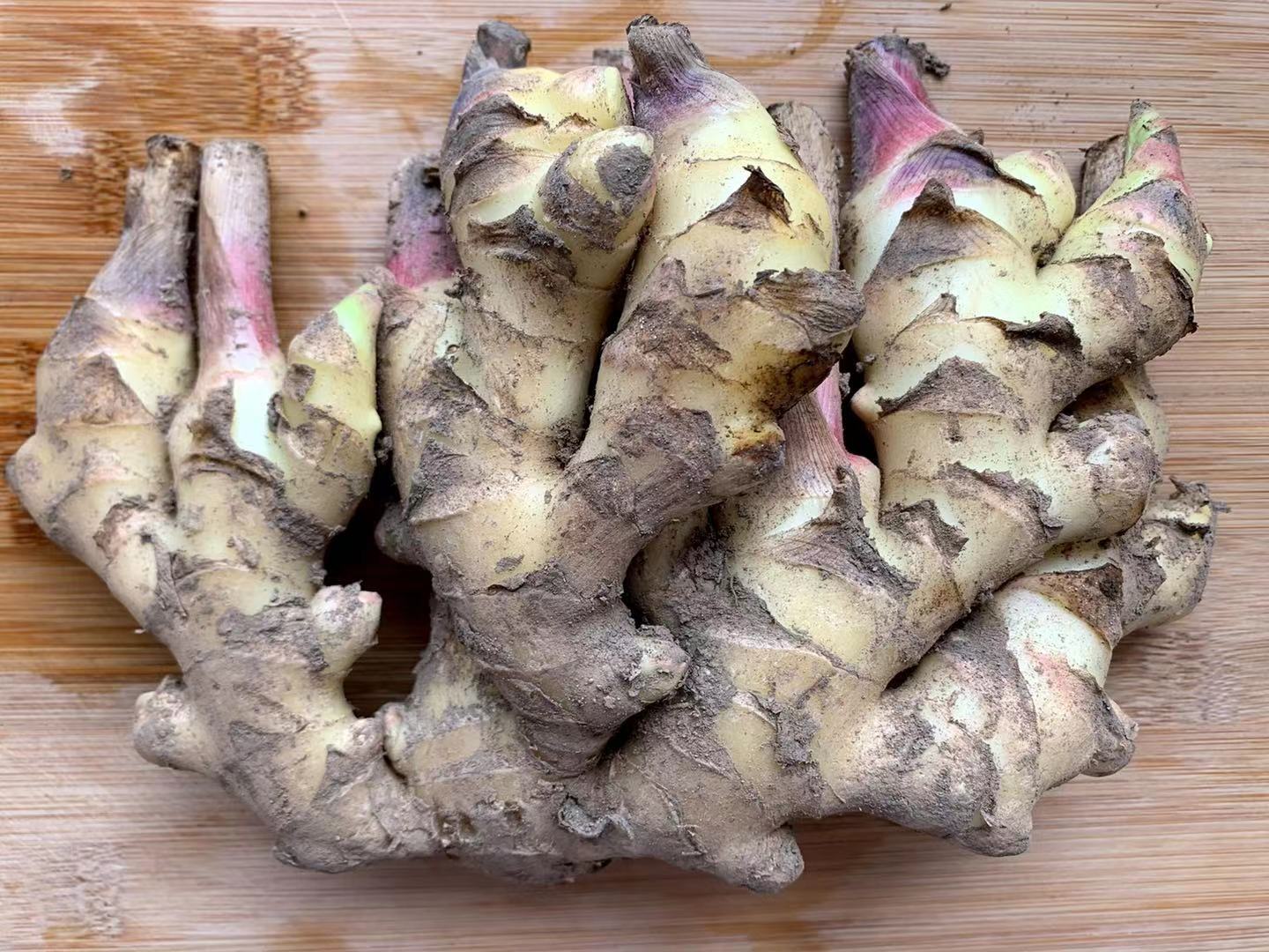 限量500份国家农产品地理标志永康特有五指姜新鲜开挖啦