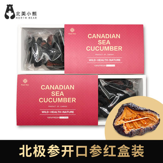 进口加拿大淡干海参开口参1磅/盒 # 宁波仓 商品图0