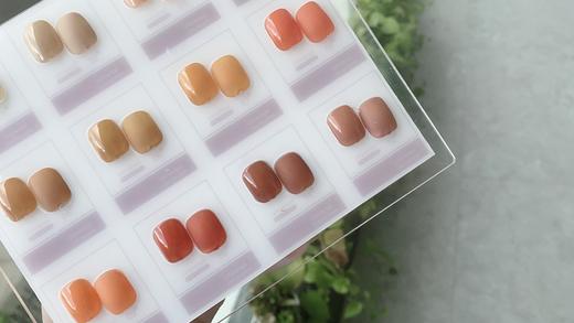 复古·枫橘12色套装 商品图2