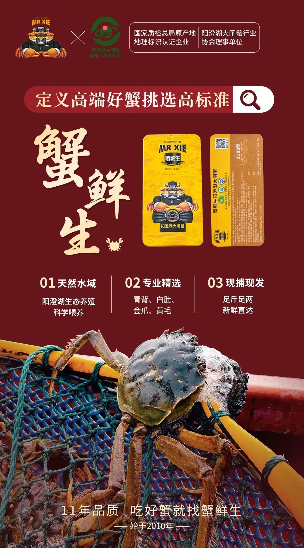 25号截单可备注几号发货最后发货日期28号阳澄湖大闸