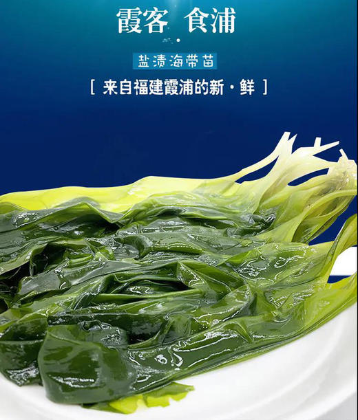 地理标志产品-霞浦海带嫩苗☀ （200g*10包）来自海带之乡鲜，嫩，滑，海带宝宝，涮火锅凉拌，脆嫩可口 商品图0
