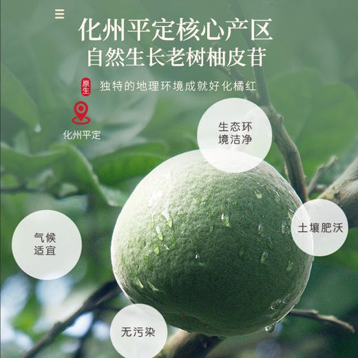 福东海 化橘红茶 正宗化州化橘红片100克 陈年化橘红果切片 养生茶 商品图4